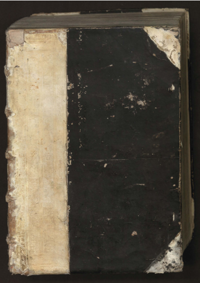 Index in Avicennae libros nvper Venetiis editos qui sane nouo quodam ordine commoditatis et vtilitatis pleno, adeo contextus est, vt nihil, melius desiderari queat [...] Iulio Palamede Adriensi medico auctore