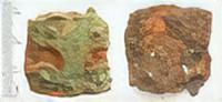 ROMAN ARMOUR