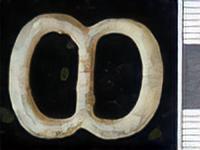 MEDIEVAL BUCKLE