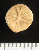 MEDIEVAL TOKEN