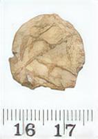 MEDIEVAL TOKEN