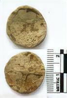 MEDIEVAL TOKEN