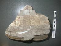 ROMAN MOSAIC