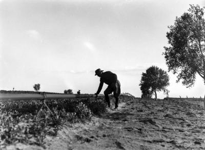 Bewässerungsanlage (Libyen-Reise 1939)