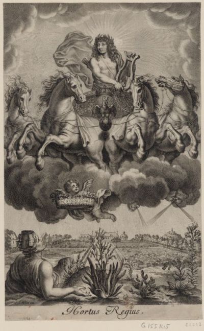 Louis XIV dans un char trainé par quatre chevaux apparait porté sur les nuages au-dessus du Jardin du Roi, Hortus regius : [estampe]