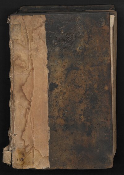 Sermones de tempore super epistolas et evangelia per circulum anni