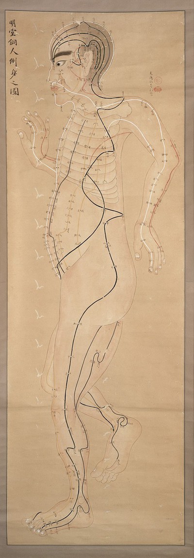 Japanese acupuncture chart.