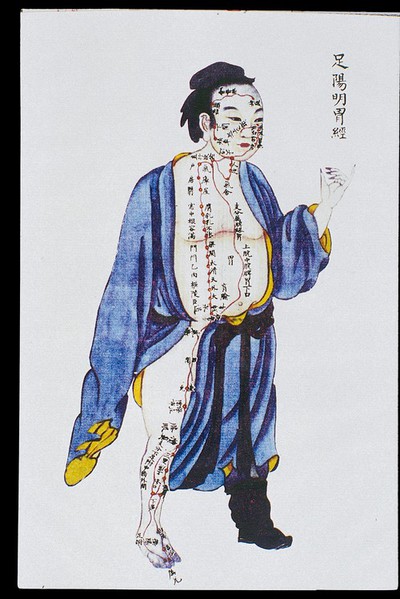 Stomach channel of leg yangming, C17/18 Chinese book art