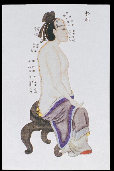 Dumai (Governor Vessel), C17/18 Chinese book art
