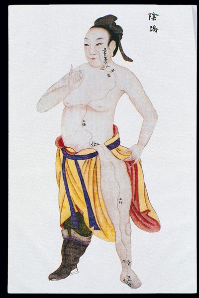 Yinqiao (Yin Heel) channel, C17/18 Chinese book art