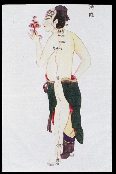 Yangwei (Yang Link) channel, C17/18 Chinese book art