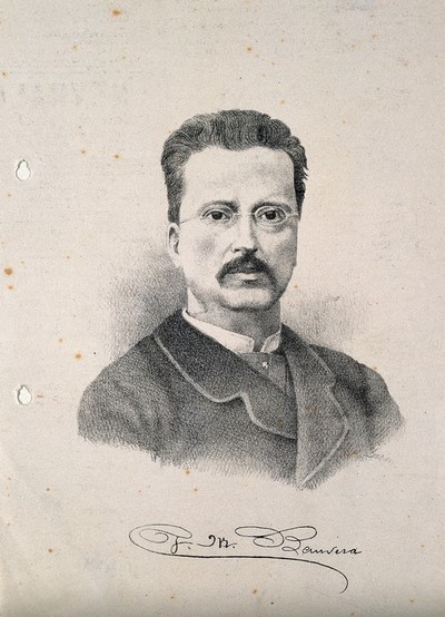 Banvera [?]. Lithograph.