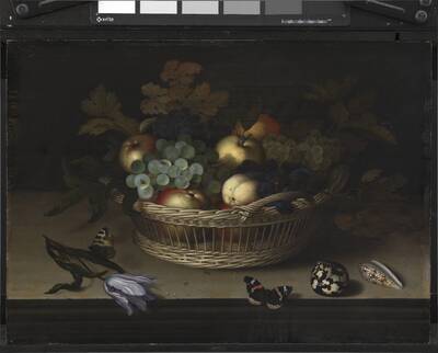 Still Life