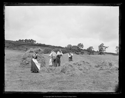 Photograph of haymakers at Castle Kevin, Annamoe, Co. Wicklow