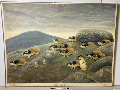 europeana