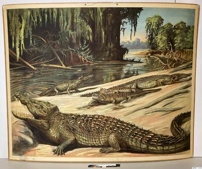 europeana