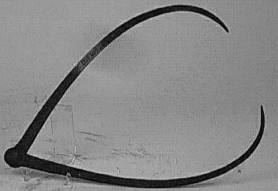 europeana