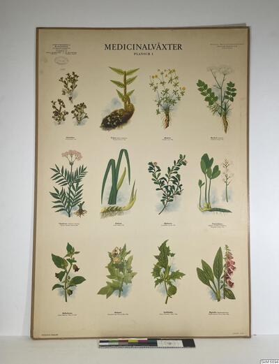 europeana