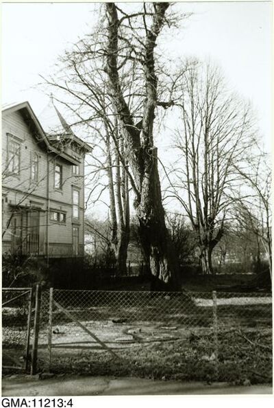 europeana