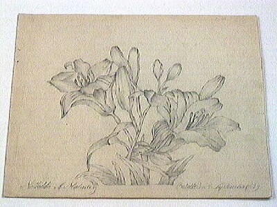 europeana