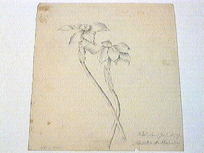 europeana