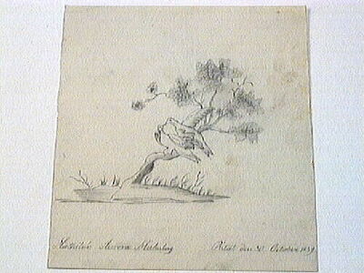 europeana