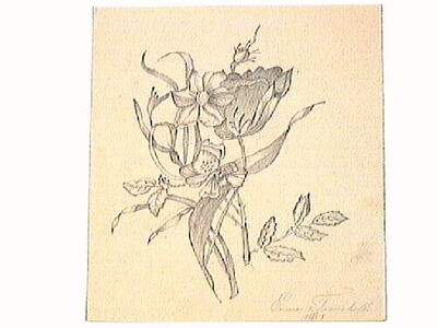 europeana
