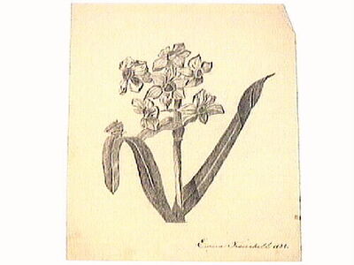europeana