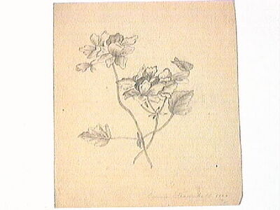 europeana