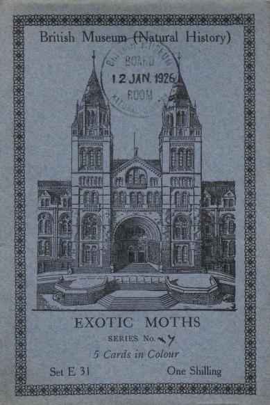 Exotic moths.