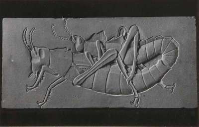 Engraving
