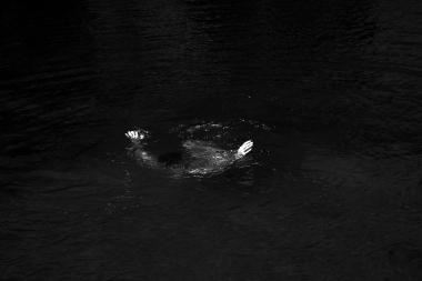 Άτιτλο, MARIA MAVROPOULOU, 2009