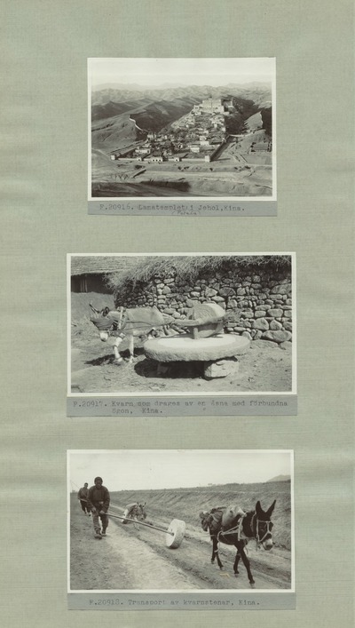 europeana