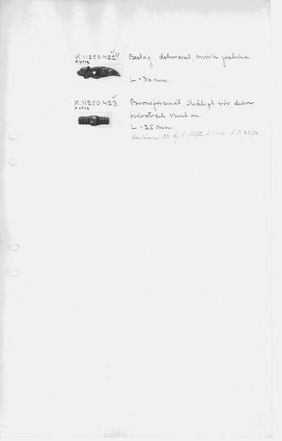 europeana
