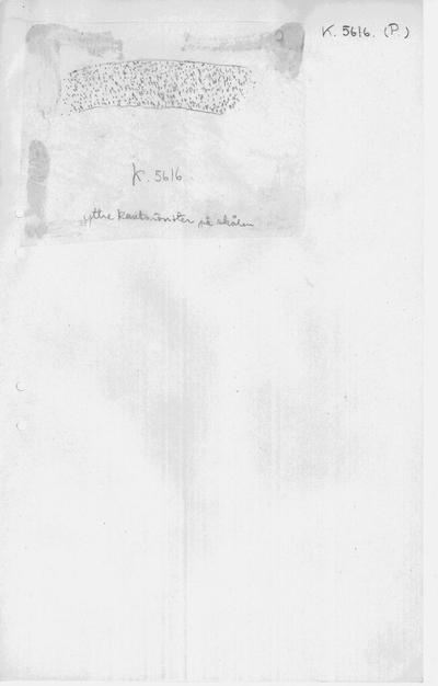 europeana