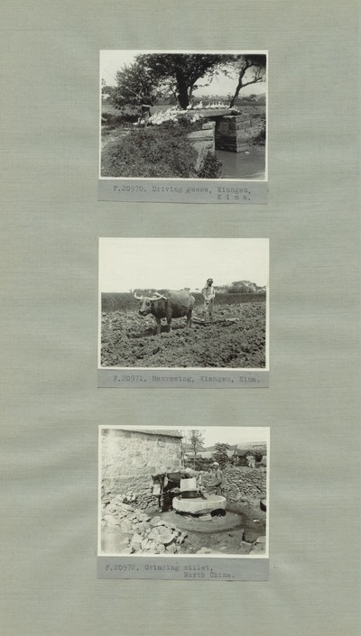 europeana