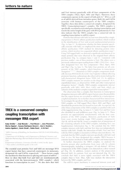 TREX is a conserved complex coupling transcription with messenger RNA export