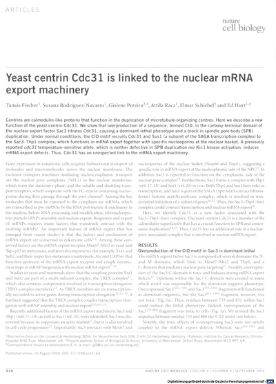 Yeast centrin Cdc31 is linked to the nuclear mRNA export machinery