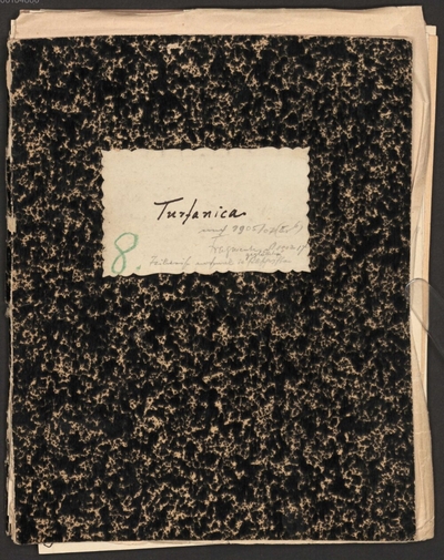 Albert Grünwedel (1856-1935) Nachlass: Turfanica. Reiseerlebnisse und Erzählungen aus Turfan - BSB Grünwedeliana III.16