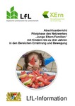 Abschlussbericht Pilotphase des Netzwerkes "Junge Eltern/Familien" mit Kindern bis zu drei Jahren in den Bereichen Ernährung und Bewegung
