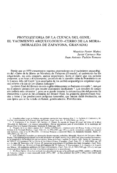Protohistoria en la cuenca del Genil: el yacimiento arqueológico "Cerro de la Mora" (Moraleda de Zafayona, Granada)