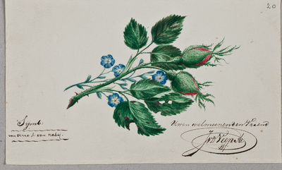 Albuminscriptie / van J. van der Veen Az., voor Gerhard Philip Pelgrimz. Everts (1811-1886)
