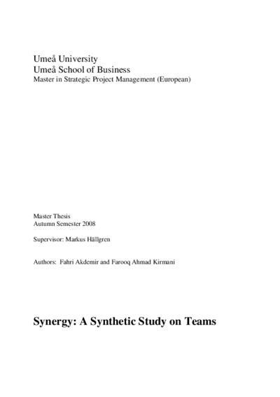 Synegy: A Synhetic Study on Teams.