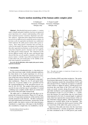 Passive motion modeling of the human ankle complex joint