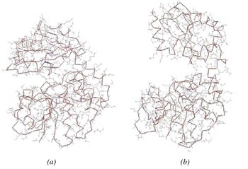 Un algoritmo con feedback energético para la simulación cinemática del movimiento de las proteínas