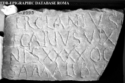 Inscription from Centumcellae