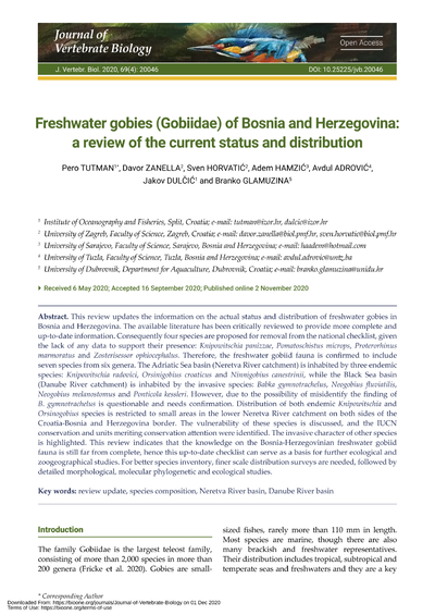 Freshwater gobies (Gobiidae) of Bosnia and Herzegovina: a review of the current status and distribution