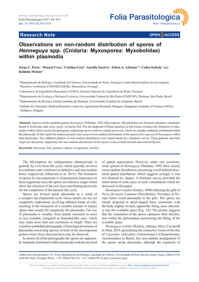 Observations on non-random distribution of spores of Henneguya spp. (Cnidaria: Myxosporea: Myxobolidae) within plasmodia