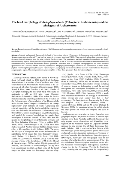 The head morphology of Ascioplaga mimeta (Coleoptera: Archostemata) and the phylogeny of Archostemata