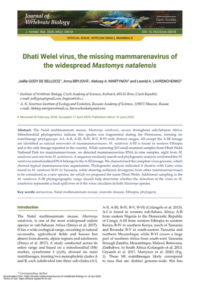 Dhati Welel virus, the missing mammarenavirus of the widespread Mastomys natalensis